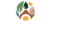 Awesome Logo